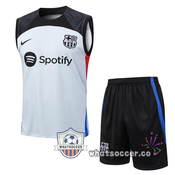 FC Barcelona Soccer Vest + Shorts Gray 2023-2024