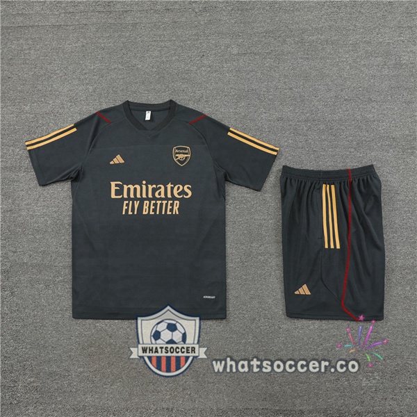 Arsenal Training T-Shirts + Shorts Gray 2023-2024