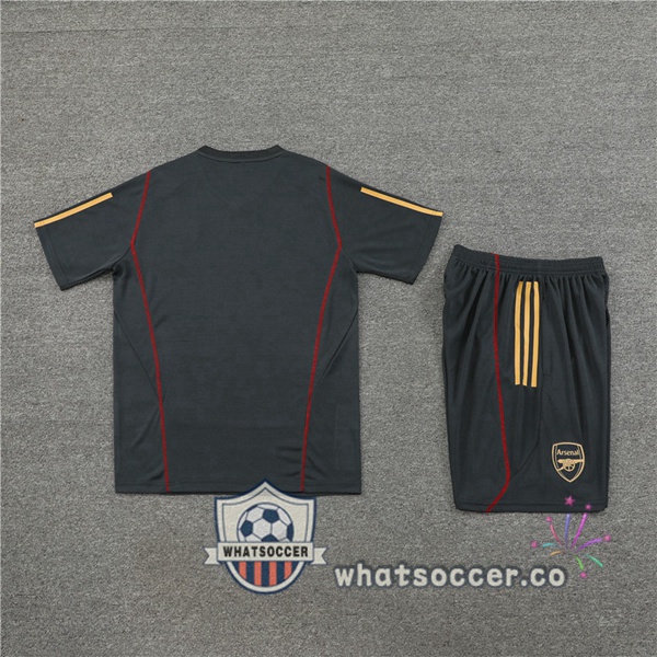 Arsenal Training T-Shirts + Shorts Gray 2023-2024