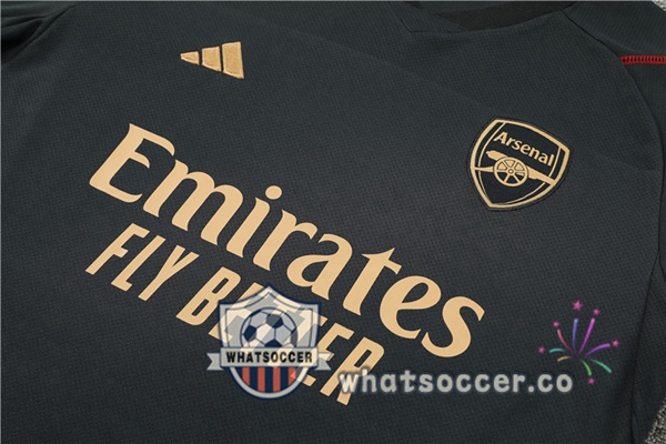 Arsenal Training T-Shirts + Shorts Gray 2023-2024