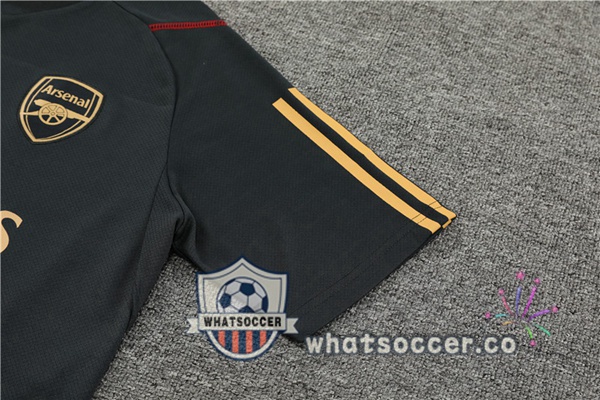 Arsenal Training T-Shirts + Shorts Gray 2023-2024
