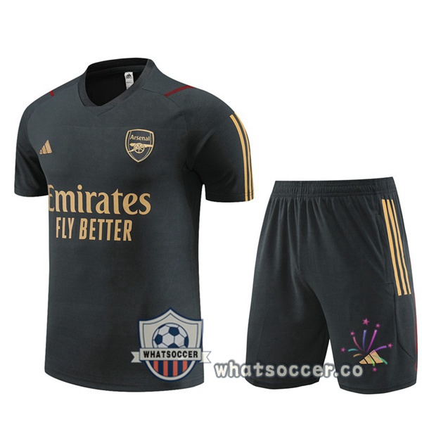 Arsenal Training T-Shirts + Shorts Gray 2023-2024