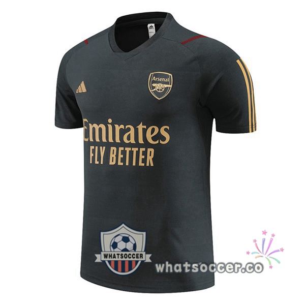 Arsenal Training T-Shirts Gray 2023-2024