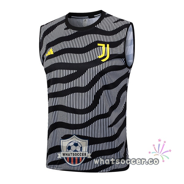 Juventus Soccer Vest Gray 2023-2024