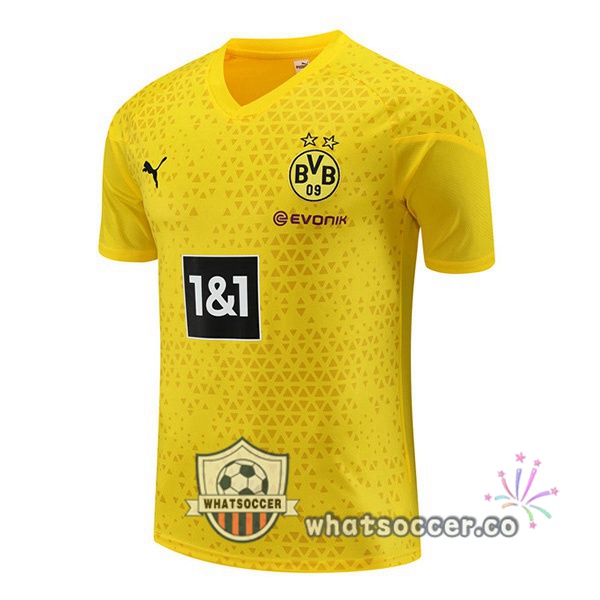 Dortmund BVB Training T-Shirts Yellow 2023-2024