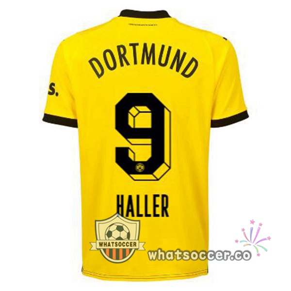 Dortmund BVB (Haller 9) Home Soccer Jerseys Yellow Black 2023-2024