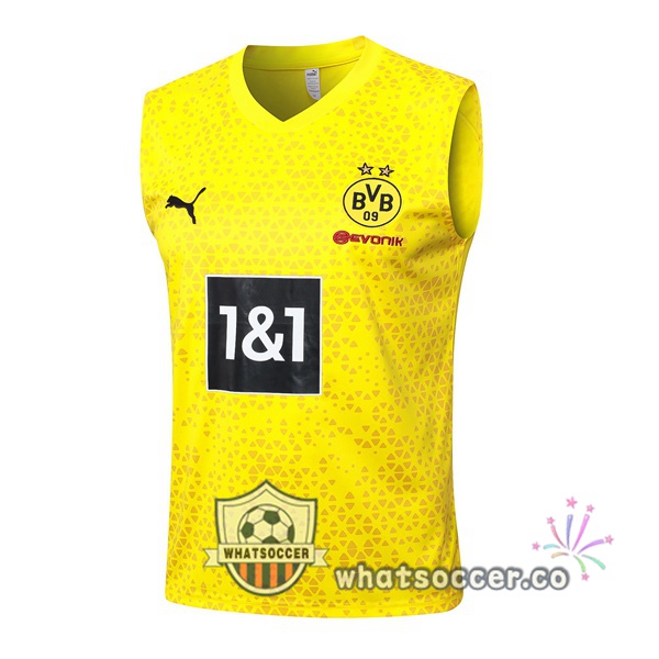Dortmund BVB Soccer Vest Yellow 2023-2024