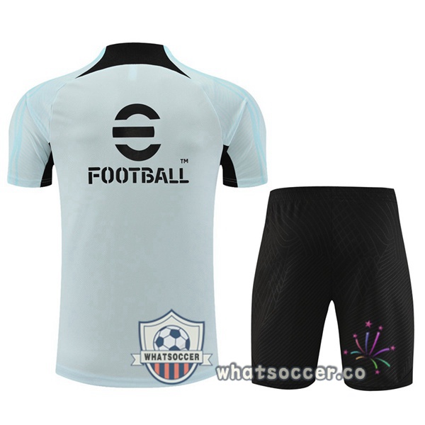 Inter Milan Training T-Shirts + Shorts Gray 2023-2024