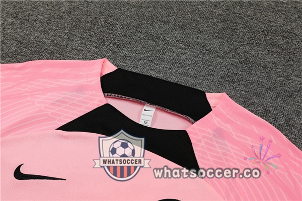 Paris PSG Training T-Shirts + Shorts Rose 2023-2024