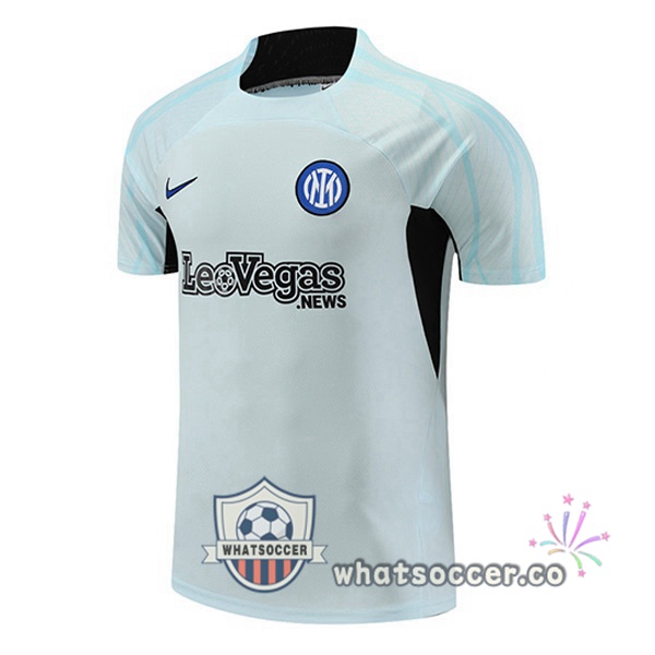 Inter Milan Training T-Shirts Gray 2023-2024