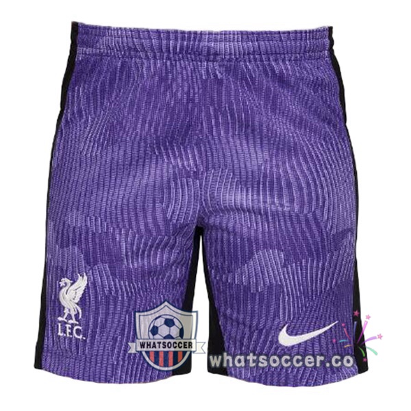 FC Liverpool Third Soccer Jerseys Purple 2023-2024