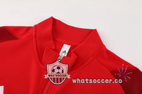 Training Jacket S.L Benfica Red 2024-2025
