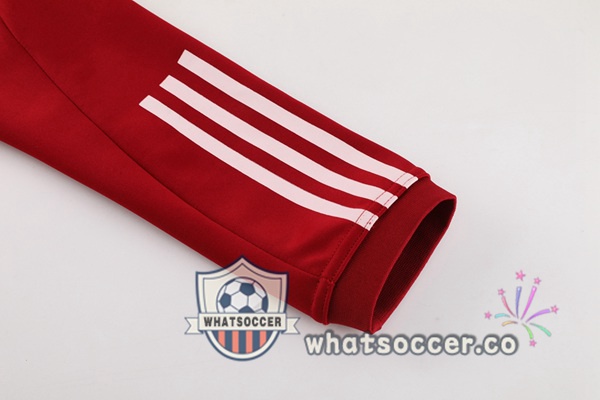 Training Jacket S.L Benfica Red 2024-2025