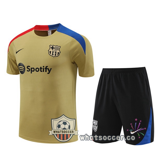 FC Barcelona Training T-Shirts + Shorts Yellow 2024-2025