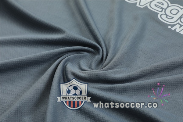 Inter Milan Training T-Shirts + Shorts Gray 2024-2025