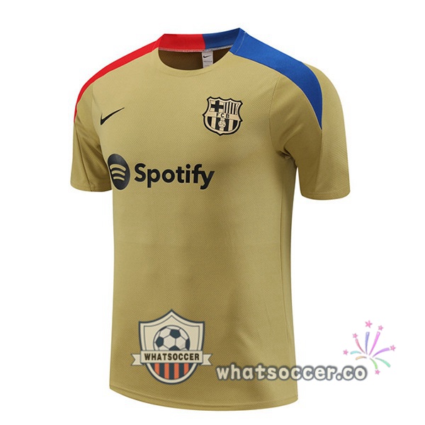 FC Barcelona Training T-Shirts Yellow 2024-2025