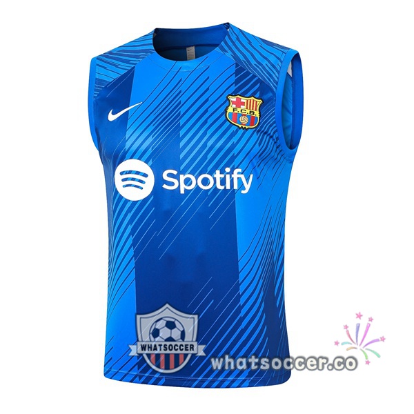 FC Barcelona Soccer Vest Blue 2024-2025