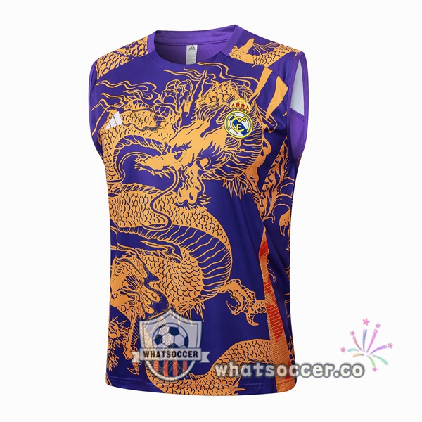 Real Madrid Soccer Vest Purple 2024-2025