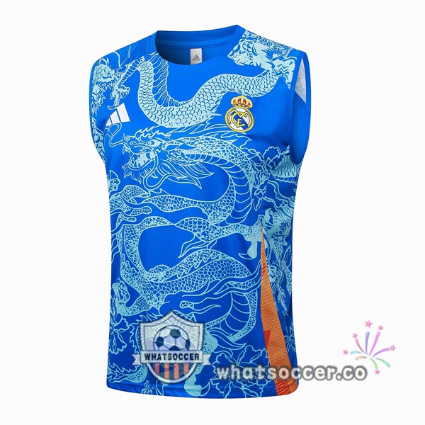 Real Madrid Soccer Vest Blue 2024-2025