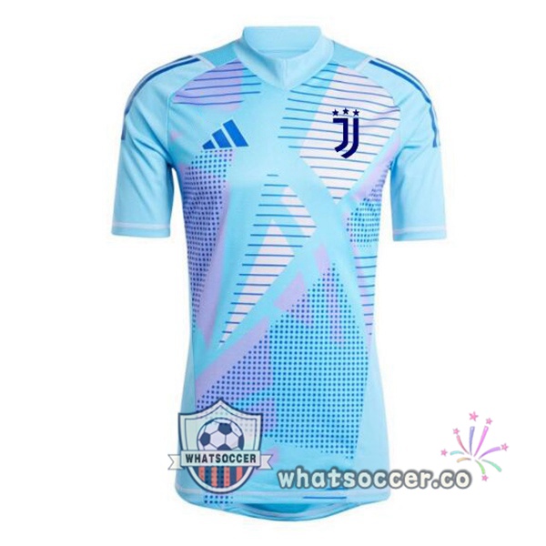 Juventus Goalkeeper Soccer Jerseys Blue 2024-2025