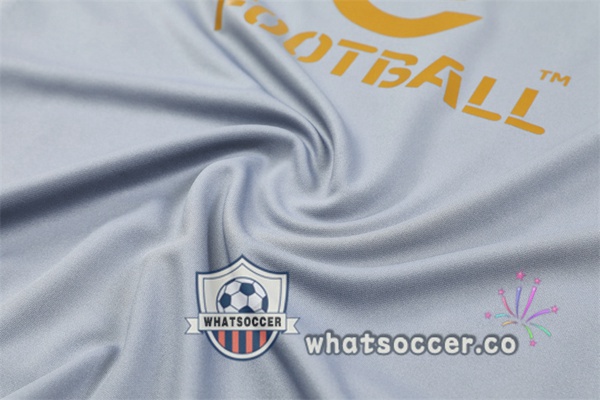 Tracksuit AC Milan Gray 2024-2025