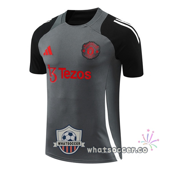 Manchester United Training T-Shirts Gray 2024-2025