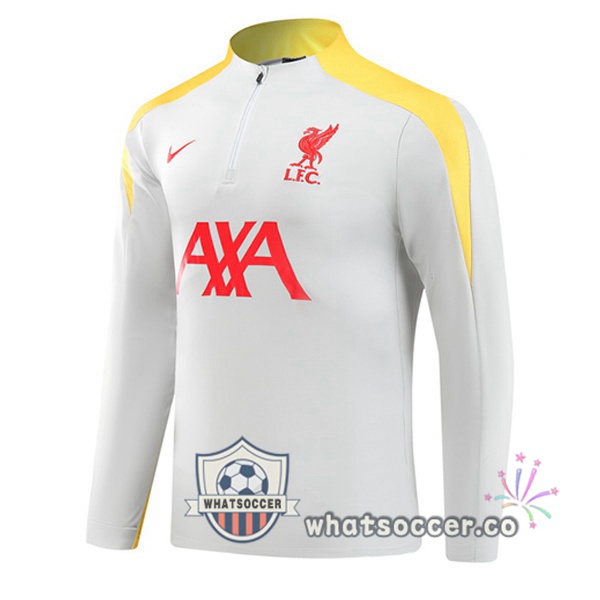 Soccer Sweater FC Liverpool Gray 2024-2025