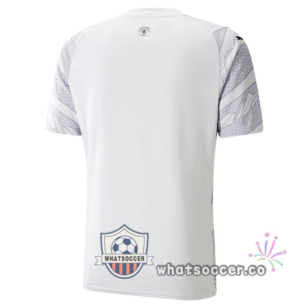 Manchester City Year Of The Dragon Gray 2023-2024