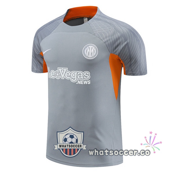 Inter Milan Training T-Shirts Gray 2024-2025