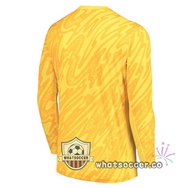 France Goalkeeper Soccer Jerseys Long Sleeve Yellow 2024-2025