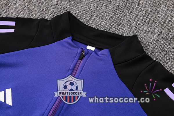 Tracksuit Germany Purple 2024-2025