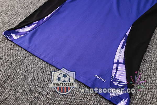 Tracksuit Germany Purple 2024-2025