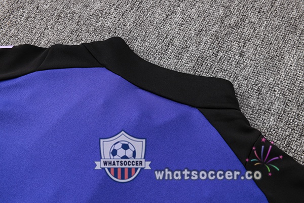 Tracksuit Germany Purple 2024-2025