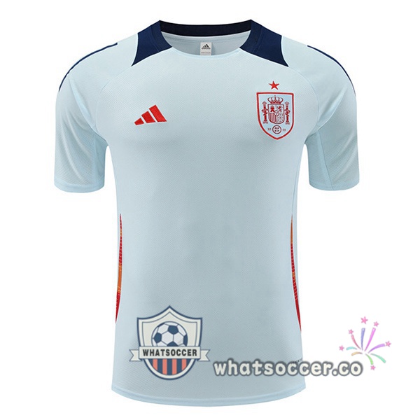 Spain Training T-Shirts Blue 2024-2025