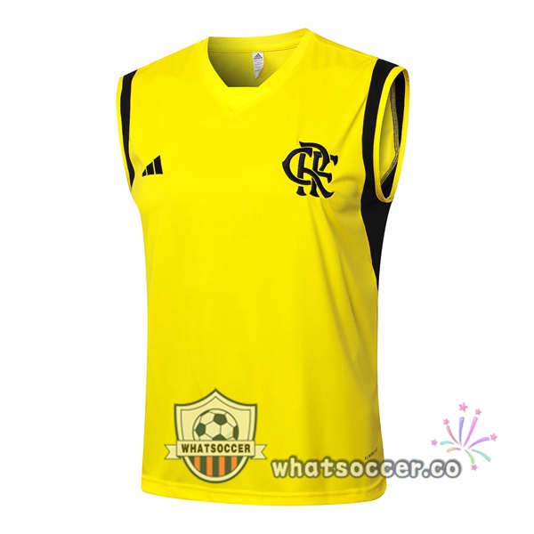 Flamengo Soccer Vest Yellow 2024-2025