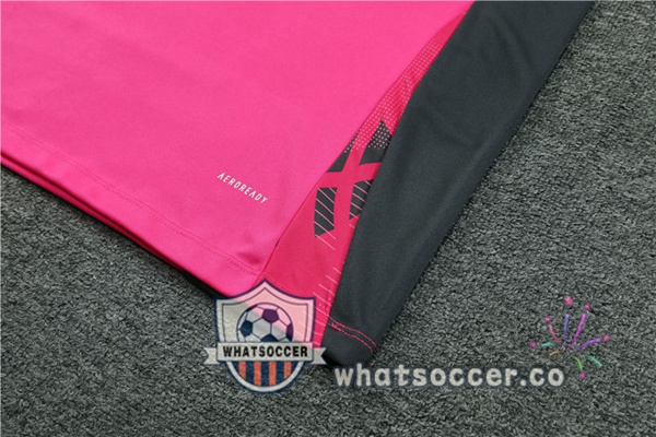 Tracksuit Germany Rose 2024-2025