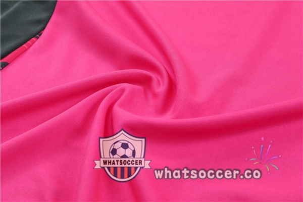 Tracksuit Germany Rose 2024-2025