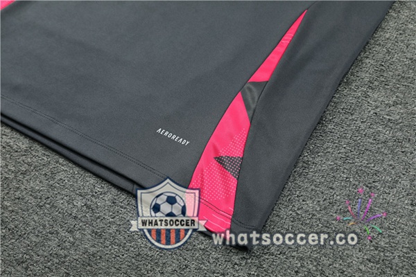 Tracksuit Germany Gray 2024-2025