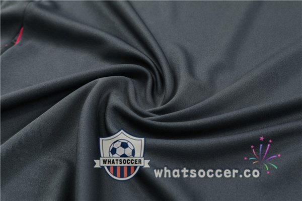 Tracksuit Germany Gray 2024-2025