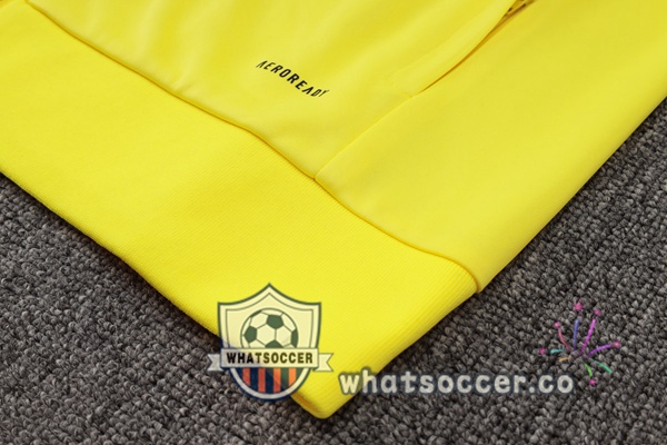 Training Jacket Flamengo Yellow 2024-2025
