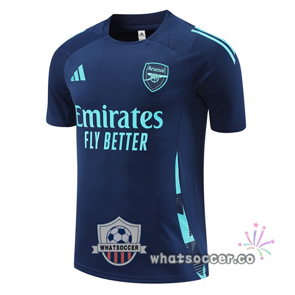 Arsenal Training T-Shirts Blue Royal 2024-2025