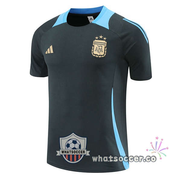 Argentina Training T-Shirts Gray 2024-2025
