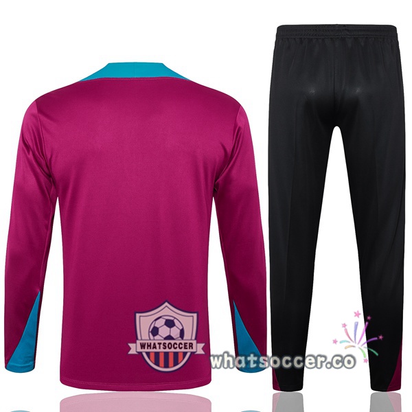 Tracksuit Paris PSG Purple 2024-2025