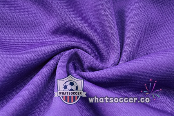 Training Jacket Germany Purple 2024-2025