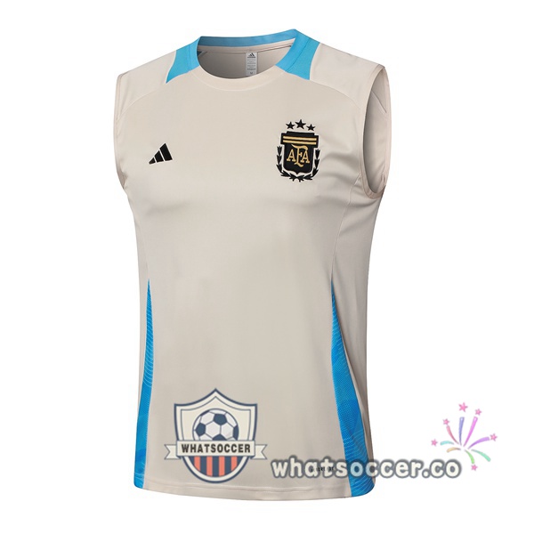 Argentina Soccer Vest Yellow 2024-2025