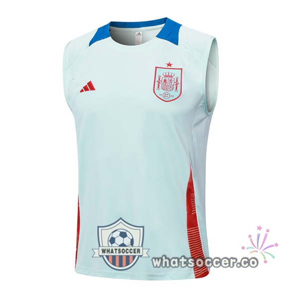 Spain Soccer Vest Blue 2024-2025