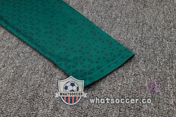 Training Jacket Palmeiras Green 2024-2025