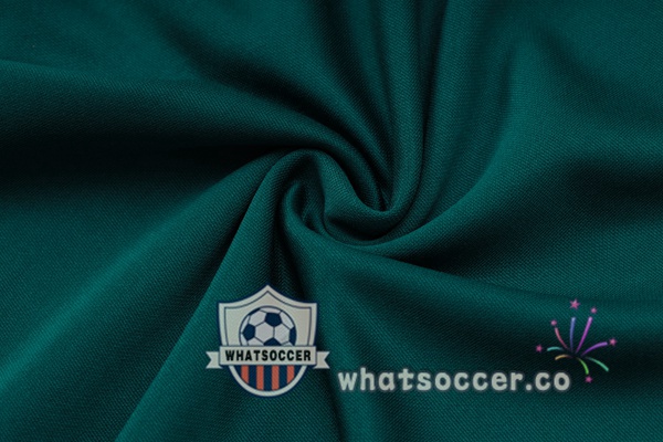 Training Jacket Palmeiras Green 2024-2025