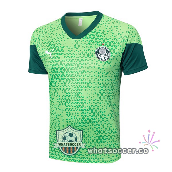 Palmeiras Training T-Shirts Green 2024-2025