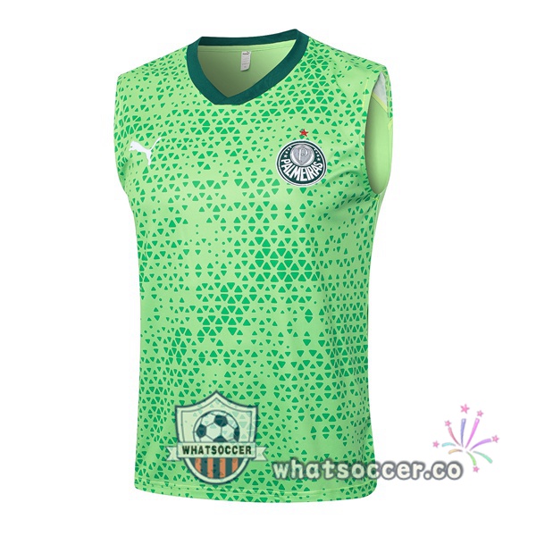 Palmeiras Soccer Vest Green 2024-2025